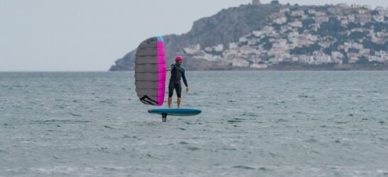 ENSIS PARAWING ROGER Purple/Blue 3m - Wing and Kite