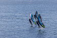 ENSIS TOP SPIN - Wing and Kite